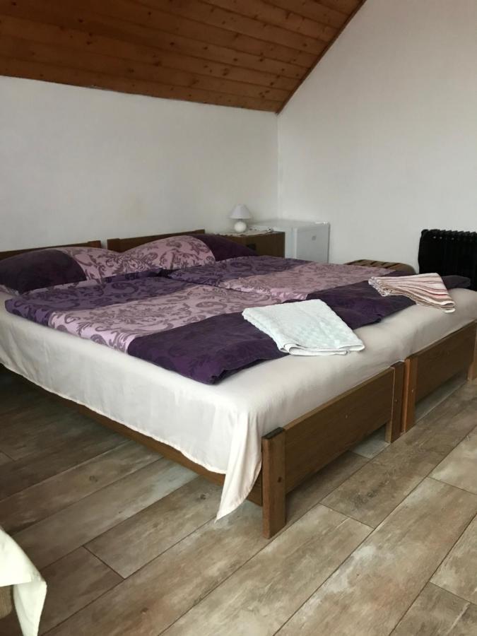 Ilona Panzio Hotel Balatonlelle Bagian luar foto