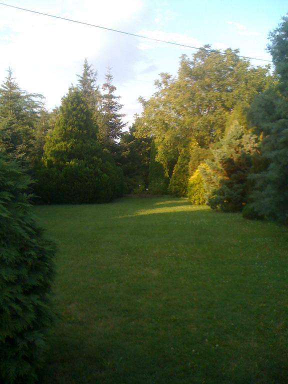 Ilona Panzio Hotel Balatonlelle Bagian luar foto